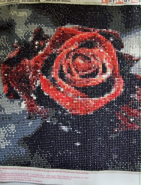 Růže v děšti 30x30cm diamantové malování