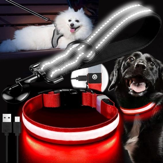 Svítící obojek pro psa Benaton USB-C s vodítkem, L OK0182