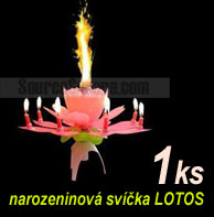Narozeninová svíčka - lotosový květ